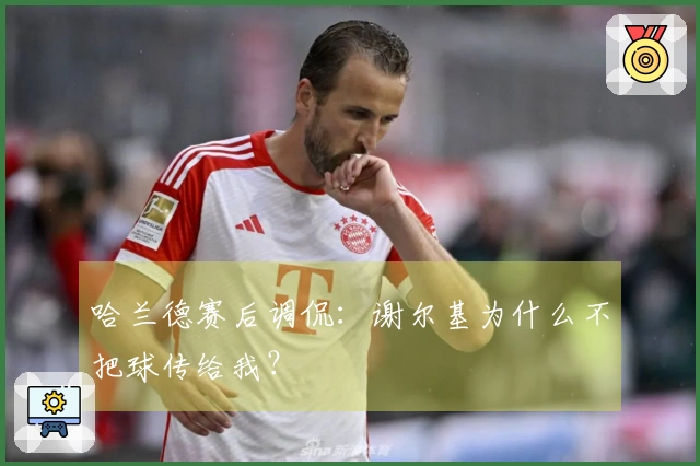 哈兰德赛后调侃：谢尔基为什么不把球传给我？