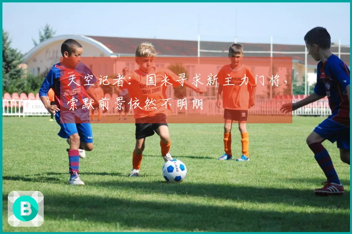 天空记者：国米寻求新主力门将，索默前景依然不明朗