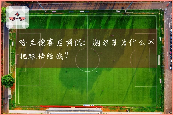 哈兰德赛后调侃：谢尔基为什么不把球传给我？